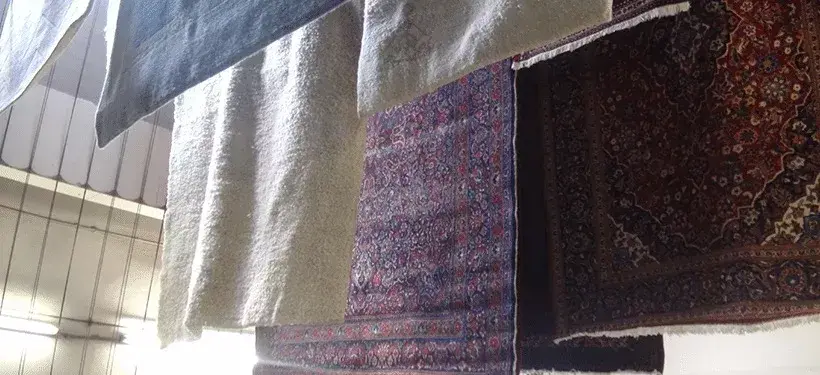 Teppichwäsche Phase 5 Trockenkammer